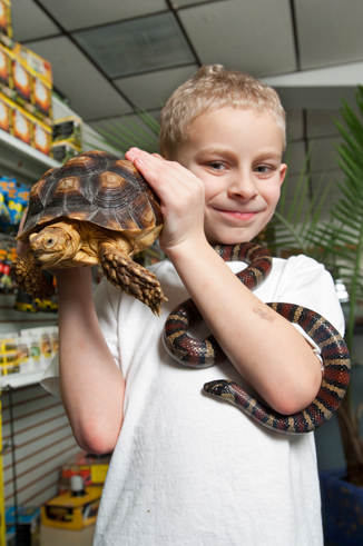 young boy holding large tortoise and snake in pet store