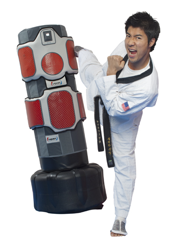 portrait of martial arts expert kicking bag